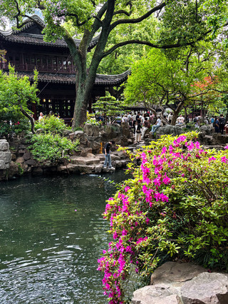 Shanghai for Beginners: Let's Go to the Garden of Joy!