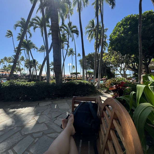 Waikiki Beach, a breath of fresh air