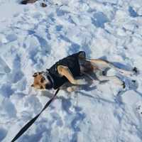 China Peak- A Winter Wonderland