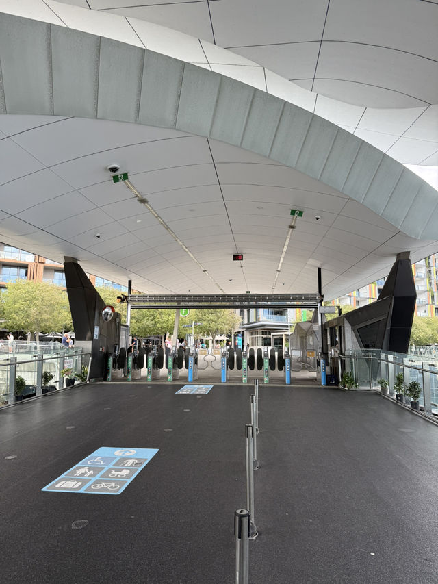 Taking a cruise along circular quay