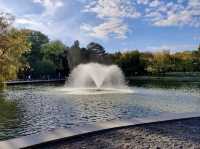 Great Forest Park