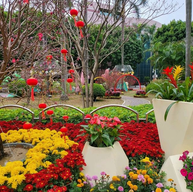 Spring Blooms in Guangzhou’s Culture Park! 🌸🌿