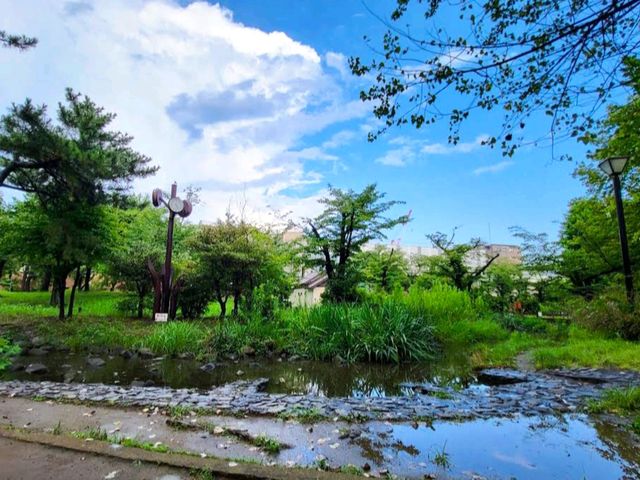 昭和沼公園