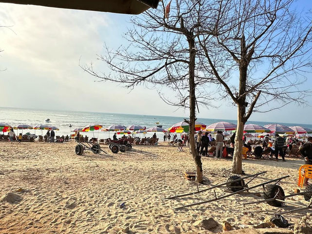 🌊 Weizhou Island: A Volcanic Paradise by the Sea 🌴    