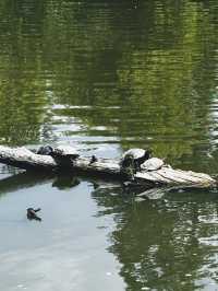 few places around Denver that i visited on urban hike from the Lyndsey Flanagan Court House.