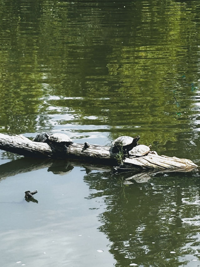 few places around Denver that i visited on urban hike from the Lyndsey Flanagan Court House.