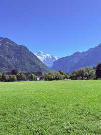 Swiss Nature Escape🌳