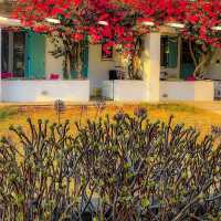 Colourful Tinos Island ❤️💙🤍🩷