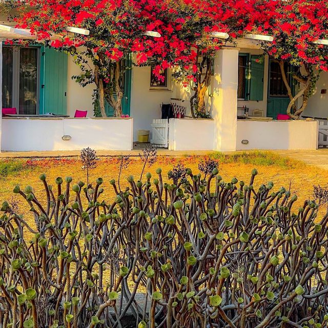 Colourful Tinos Island ❤️💙🤍🩷