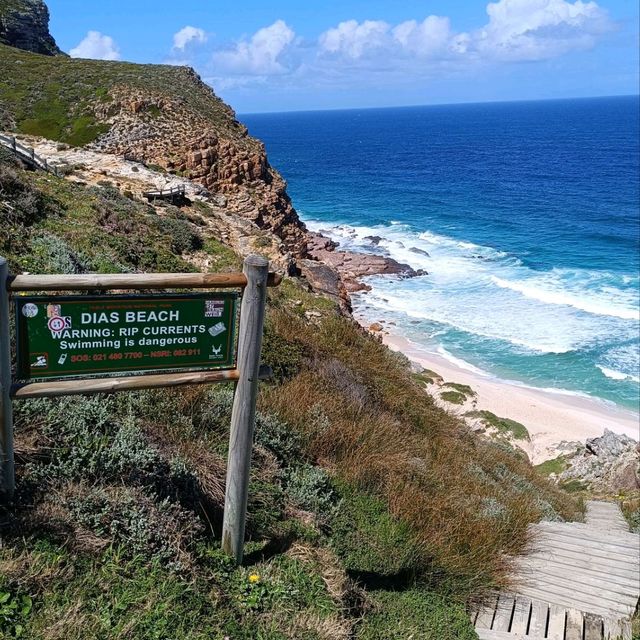 Most Beautiful Dias Beach at Cape Point