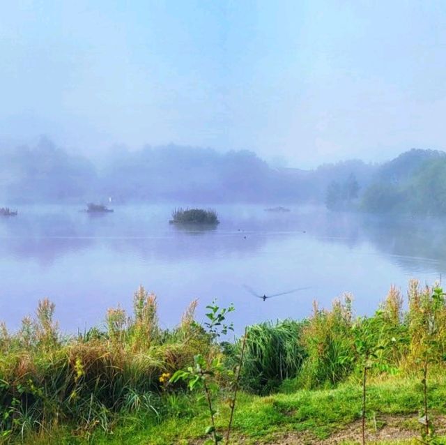獲獎的Blackleach Country Park