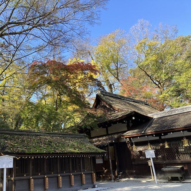 河合神社：參拜日本第一美麗神