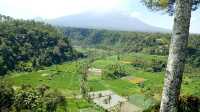 Tranquil Bali Bliss