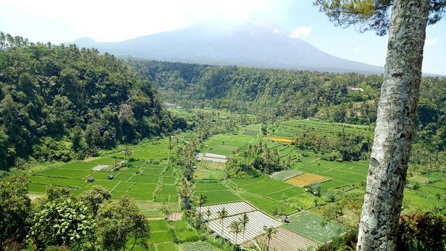 Tranquil Bali Bliss