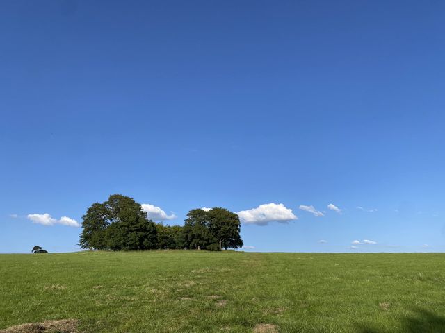 Embracing Radiance in the Sunlit PeakDistrict