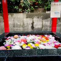 ⛩️鷲尾愛宕神社⛩️福崗最古老的山丘火神社