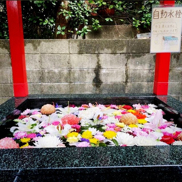 ⛩️鷲尾愛宕神社⛩️福崗最古老的山丘火神社