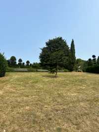 Unbelievable Topiary in a quaint seaside town.