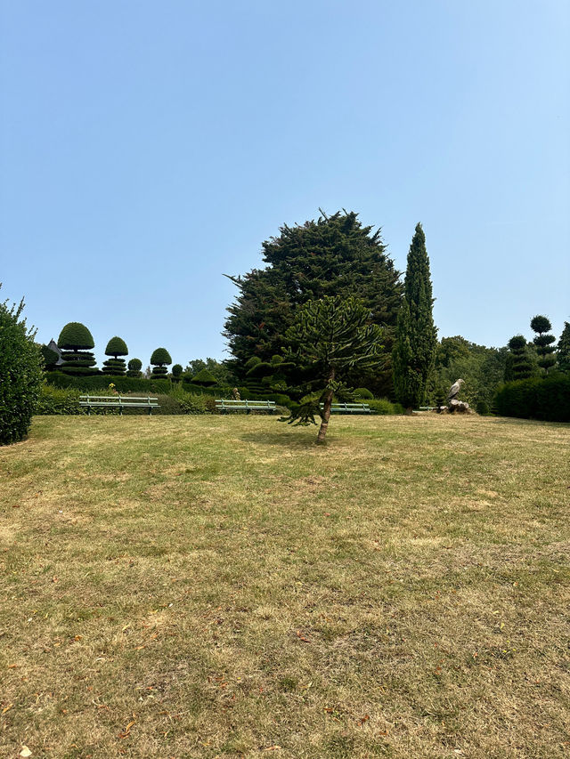 Unbelievable Topiary in a quaint seaside town.