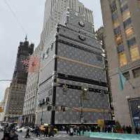 New York or Nowhere