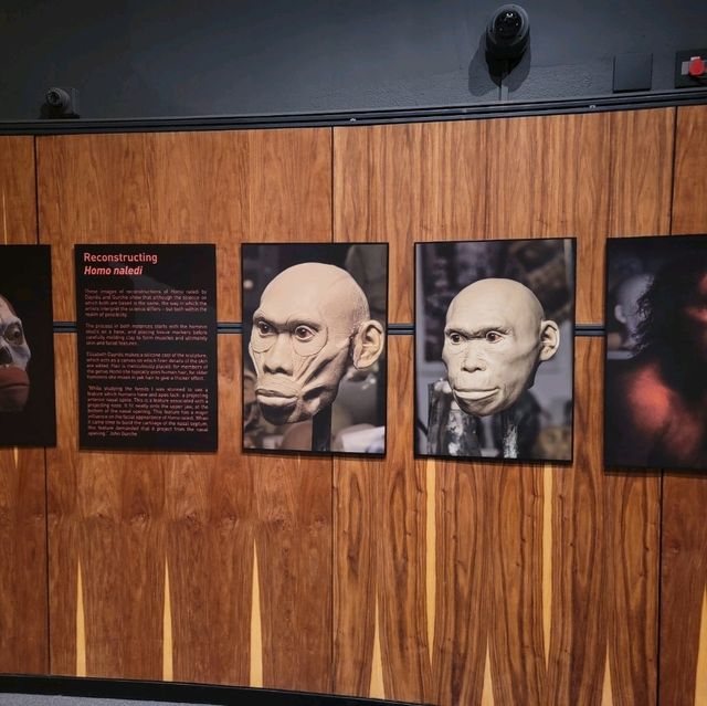 Cradle of humankind is a must vist