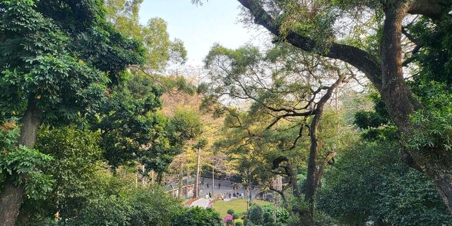 Yuexiu park 🏞 a place for relaxing and meditation❤️