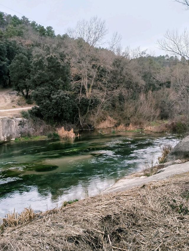 🌳 Discover the Beauty of Riera del Llobregat Park Near Berga 🌊✨