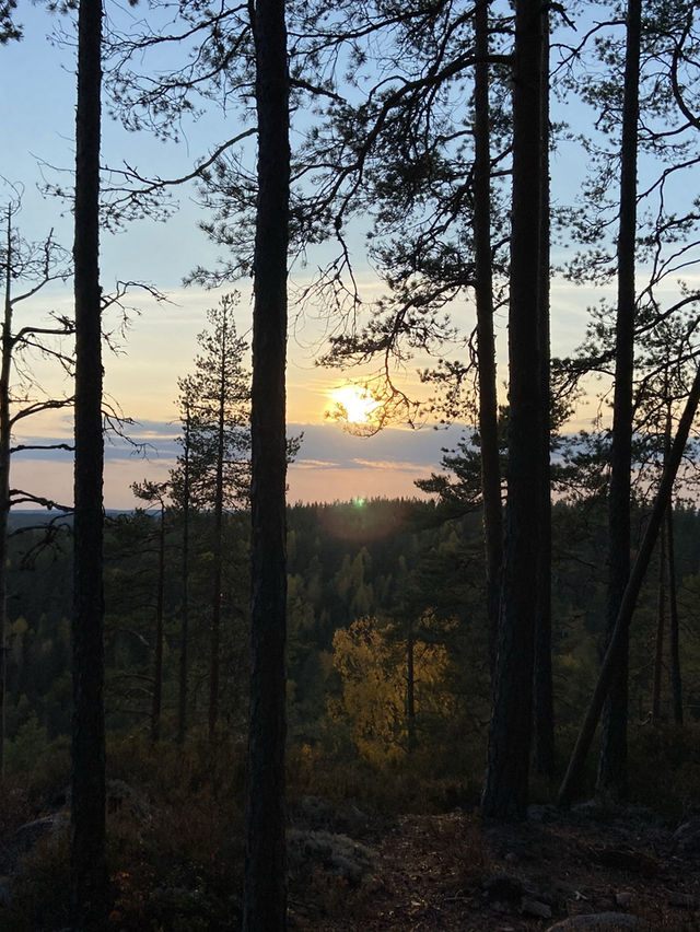 “Spent a perfect autumn day hiking in Nuuksio National Park, Finland🍂🌲