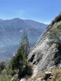 Sequoia National Park – The Ultimate Giant Tree Theme Park! 🌟🌿