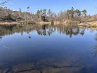 Around the tarn 