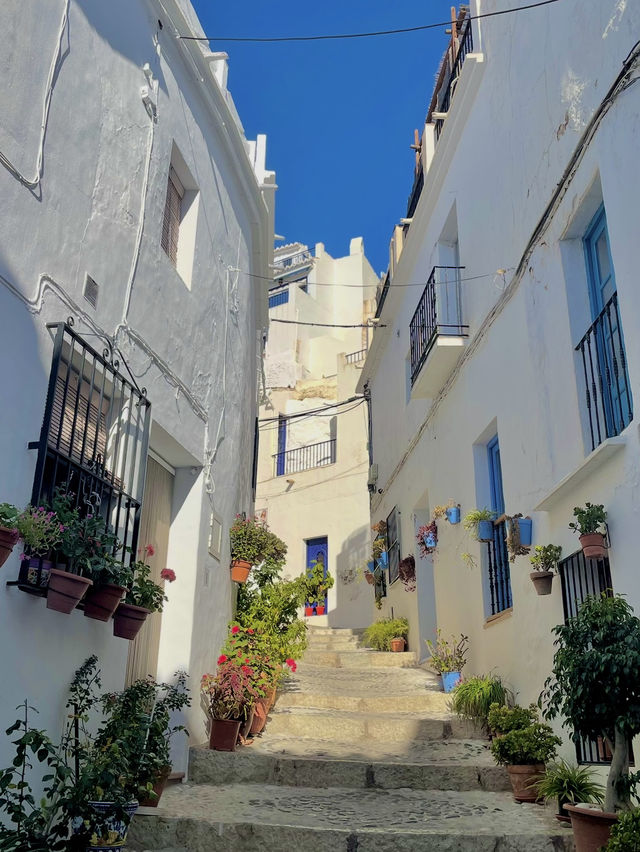 【スペイン🇪🇸】スペインの穴場観光地・Frigilianaでの過ごし方🏘️🌱