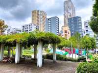 中大江公園