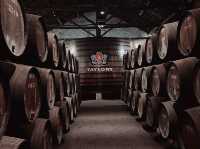 Taylor’s Port — 一場釀製的邂逅