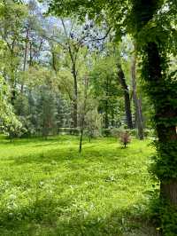 Spring Stroll at Pine Park, Almaty