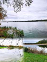 Lake Wingra湖畔徒步