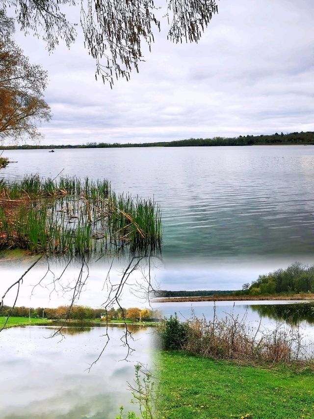 Lake Wingra湖畔徒步