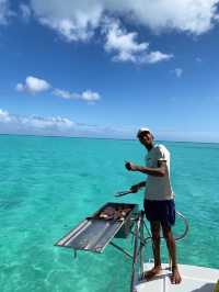 A Perfect Day in Paradise: Dolphins, Snorkelling & Crystal Rock in Mauritius