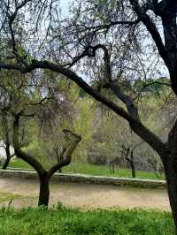 Exploring the Aqueduct and Old Town