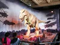 Discovering the Natural World: Reflections on Natural History Museum