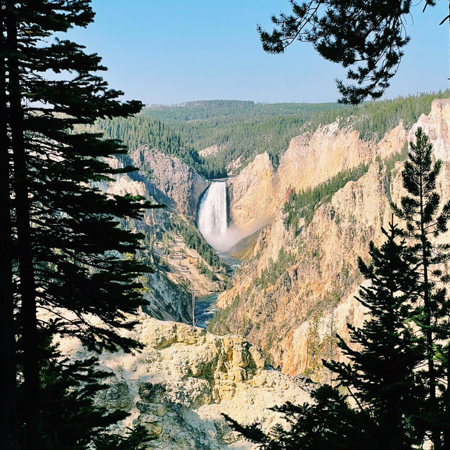 🚗🌲 Top Transportation Tips for Exploring Yellowstone National Park