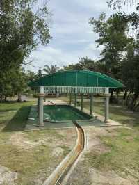 Free hot spring in Surat Thani