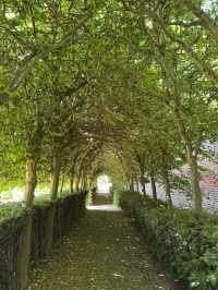 Step Into History: Discover the Magic of National Trust Sites