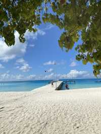 Maldives: The Ultimate Paradise for Diving Wrecks and Coral Reefs