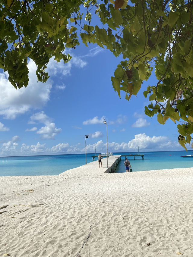 Maldives: The Ultimate Paradise for Diving Wrecks and Coral Reefs