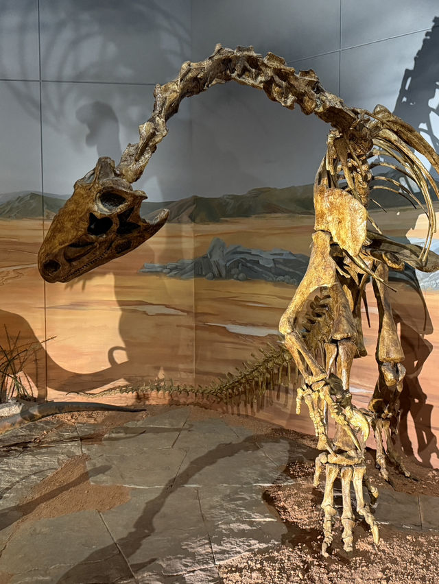 My Favourite Free Place In Cardiff, The Incredible National Museum Of Wales 
