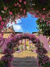 🏰✨ “Romantic Escape: Discovering Château de Castel Novel” 🇫🇷