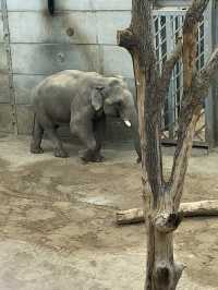 Blackpool Zoo
