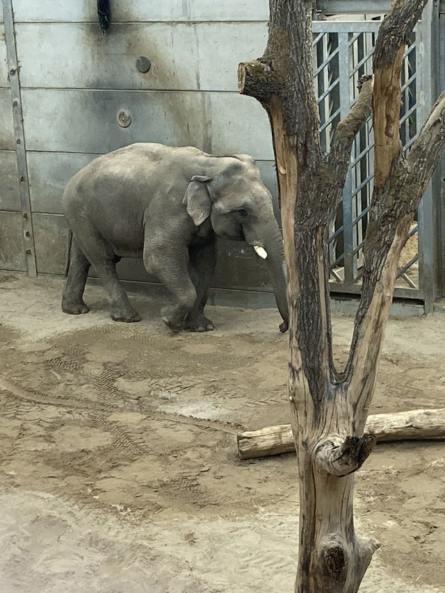 Blackpool Zoo