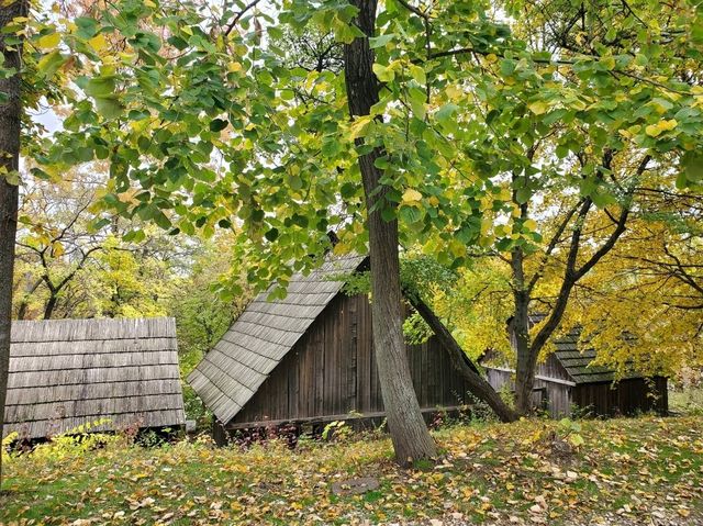 Dimitrie Gusti National Village Museum: Romania's Rural Heritage Alive