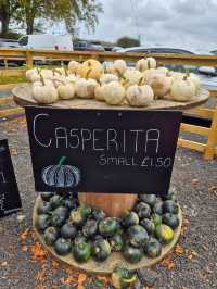 Stouslie Farm Pumpkin Patch, Hawick – A Scenic, Family-Friendly Autumn Adventure